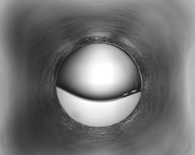 X0000093751014200710160806