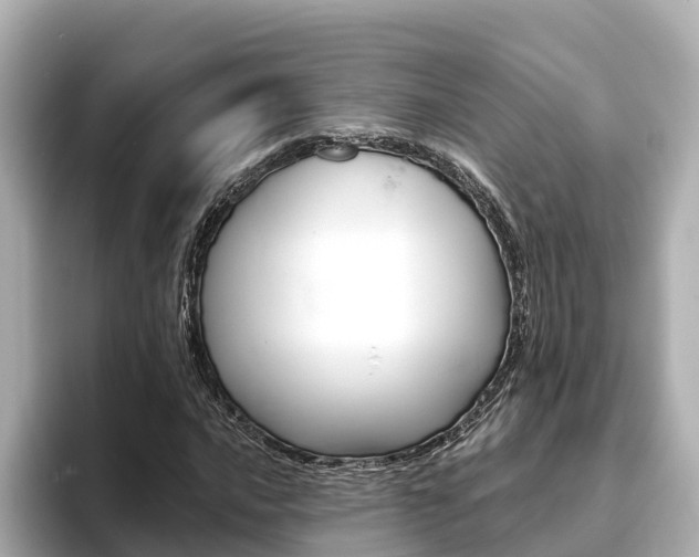 X0000093751016200710160806