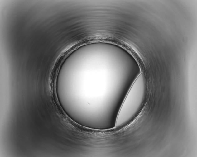 X0000093751018200710160806