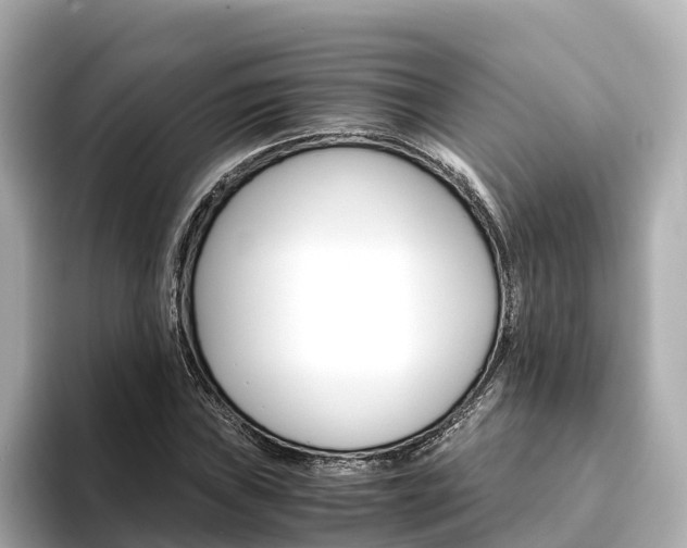 X0000093751019200710160806
