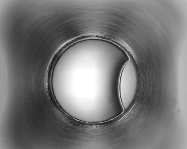 X0000093751020200710160806