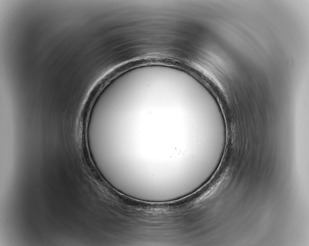 X0000093751021200710160806