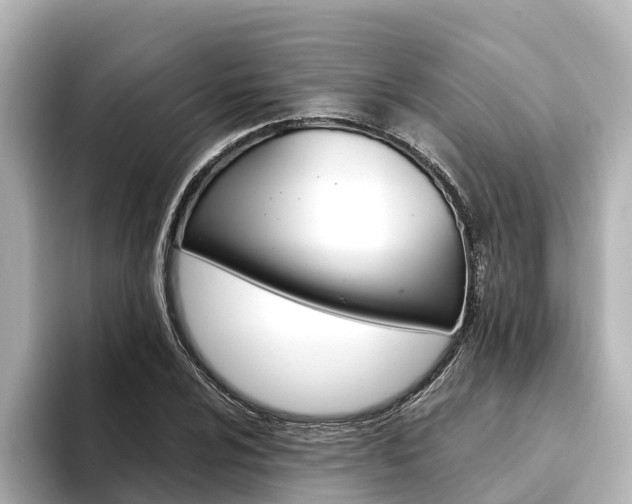 X0000093751024200710160806