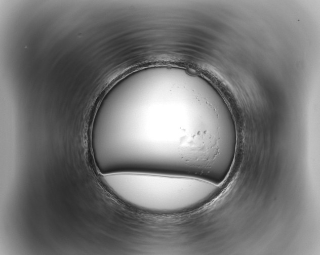 X0000093751025200710160806