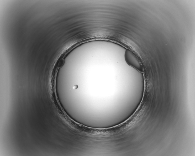 X0000093751026200710160806
