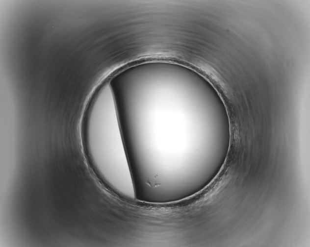 X0000093751030200710160806