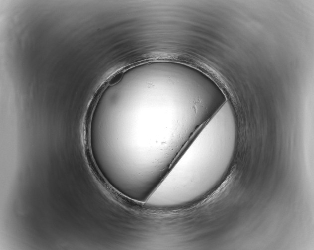 X0000093751034200710160806
