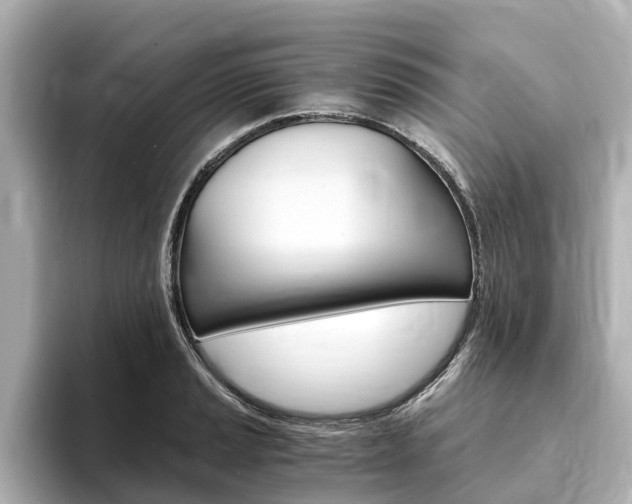 X0000093751037200710160806