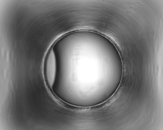 X0000093751038200710160806