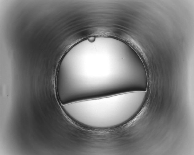 X0000093751041200710160806