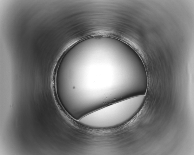 X0000093751042200710160806