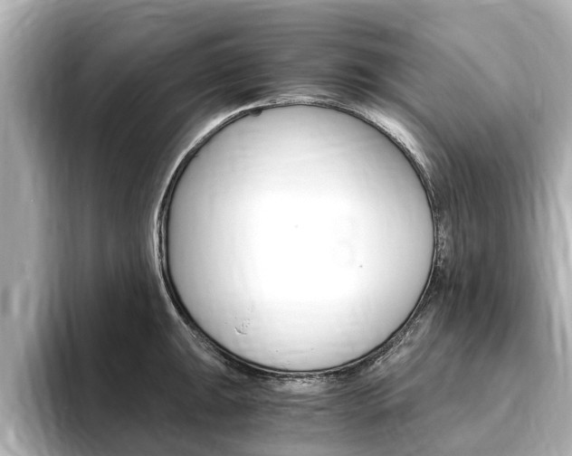 X0000093751047200710160806