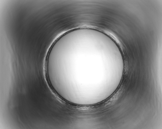 X0000093751048200710160806