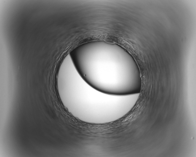 X0000093751057200710160806