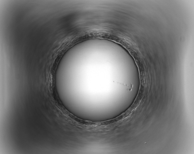 X0000093751061200710160806