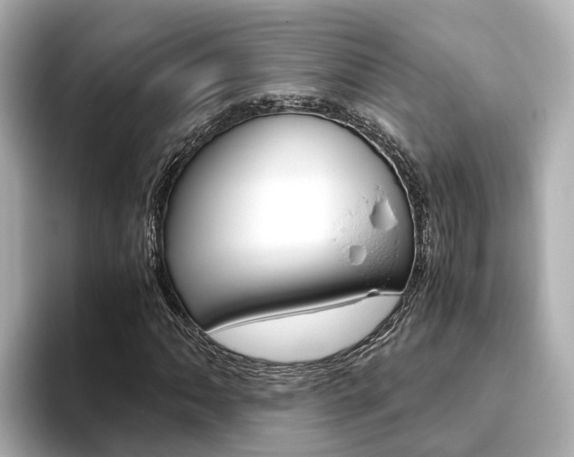 X0000093751062200710160806