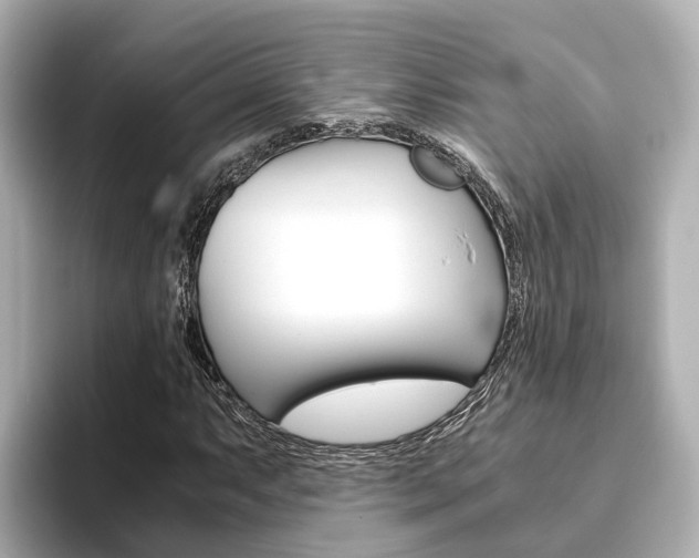 X0000093751063200710160805