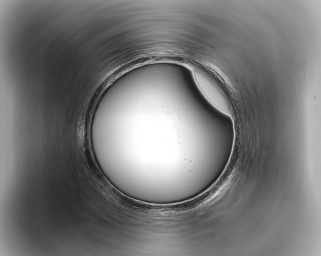 X0000093751065200710160805