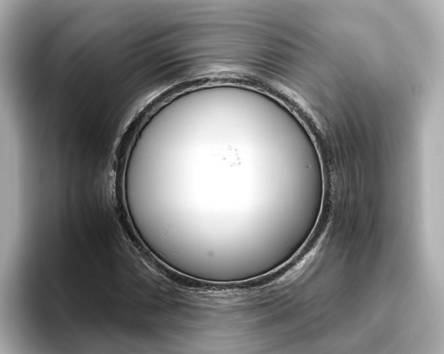 X0000093751066200710160805