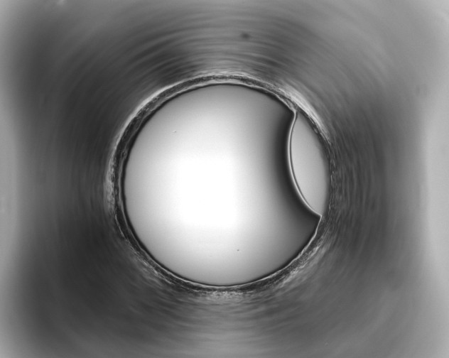 X0000093751068200710160805