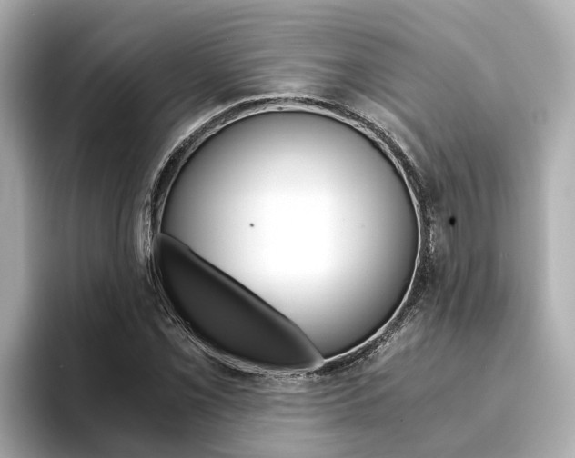 X0000093751069200710160805