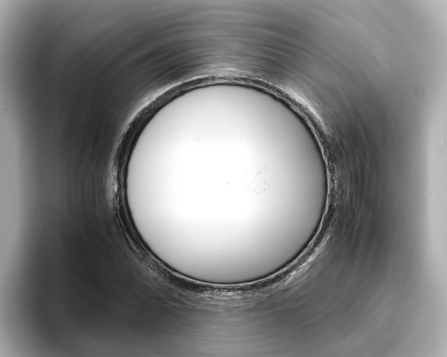 X0000093751070200710160805