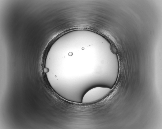 X0000093751071200710160805
