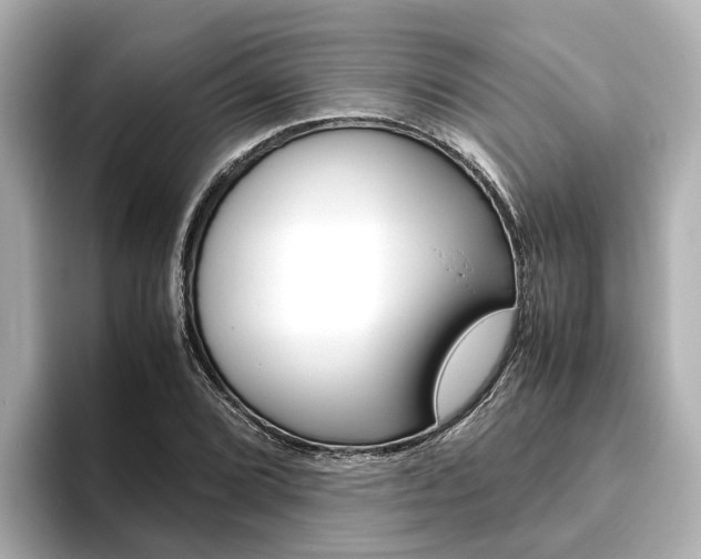 X0000093751072200710160805