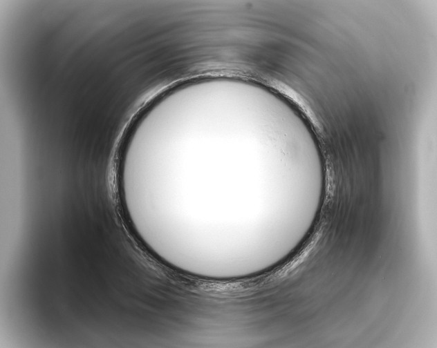 X0000093751074200710160805
