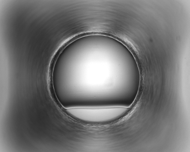 X0000093751077200710160805