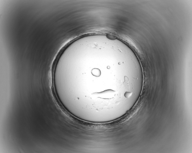 X0000093751079200710160805