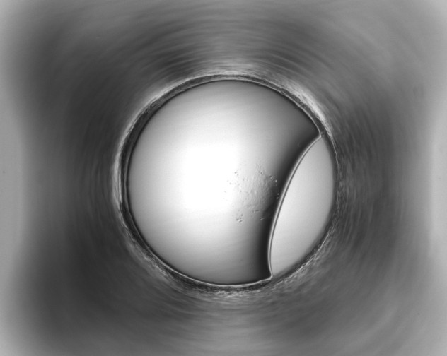 X0000093751080200710160805