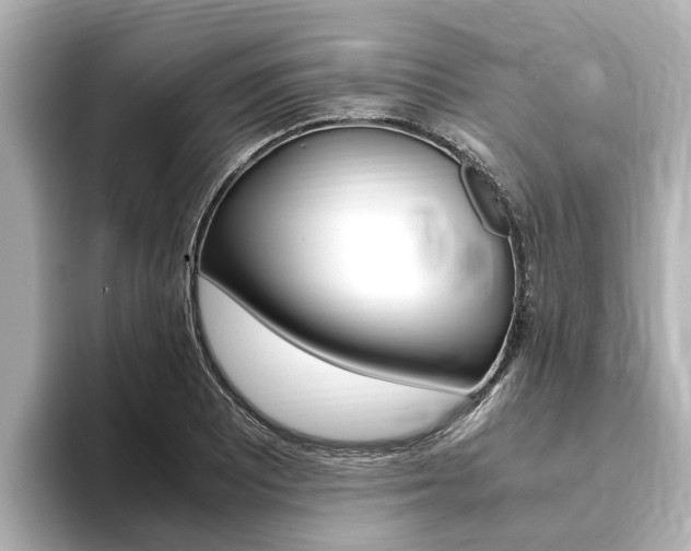 X0000093751081200710160805