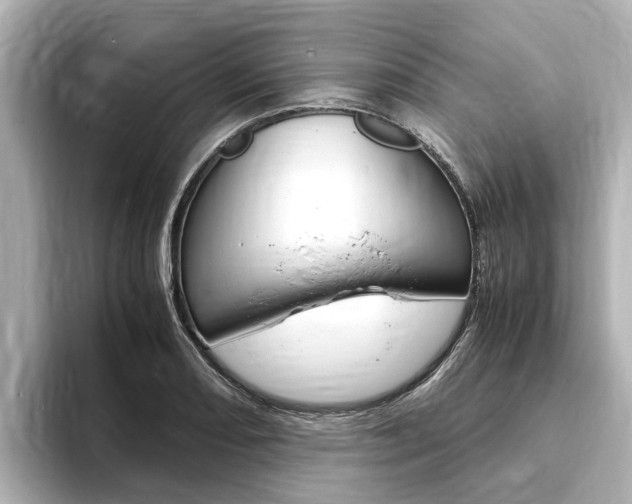 X0000093751082200710160805