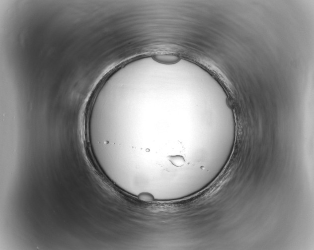X0000093751083200710160805