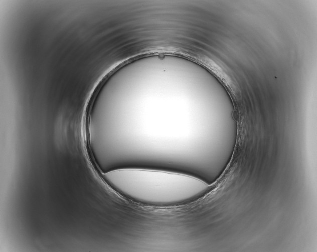 X0000093751084200710160805
