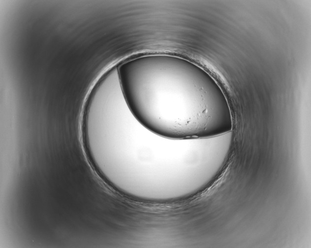X0000093751085200710160805