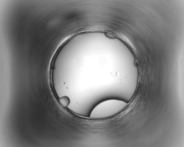 X0000093751087200710160805