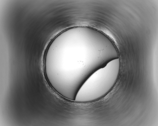 X0000093751088200710160805