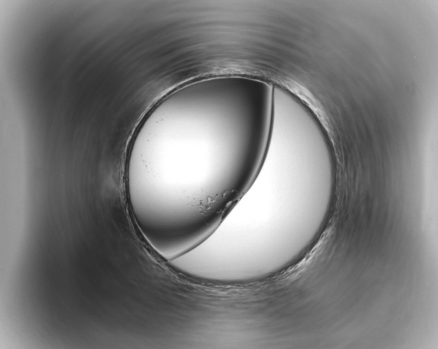X0000093751089200710160805