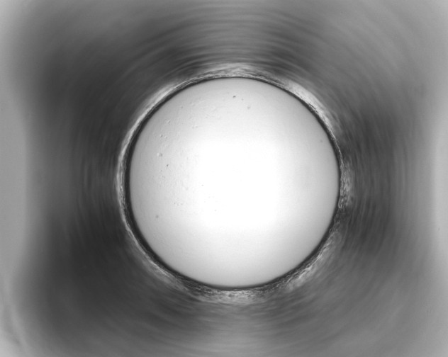 X0000093751090200710160805