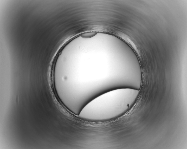 X0000093751091200710160805