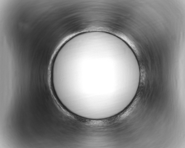 X0000093751094200710160805