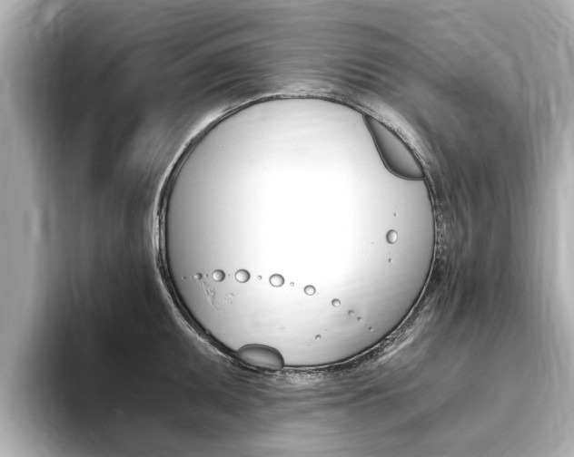 X0000093751095200710160805