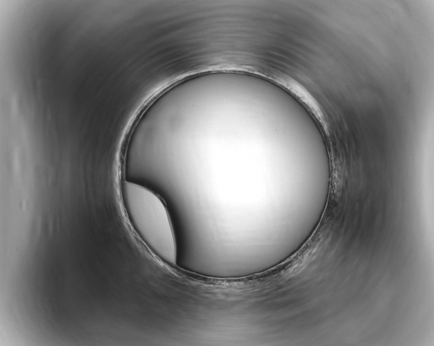 X0000093751096200710160805