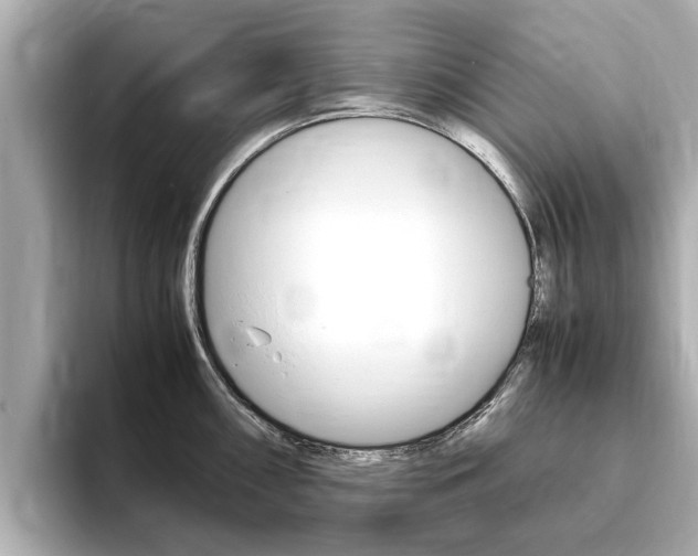 X0000093751098200710160805