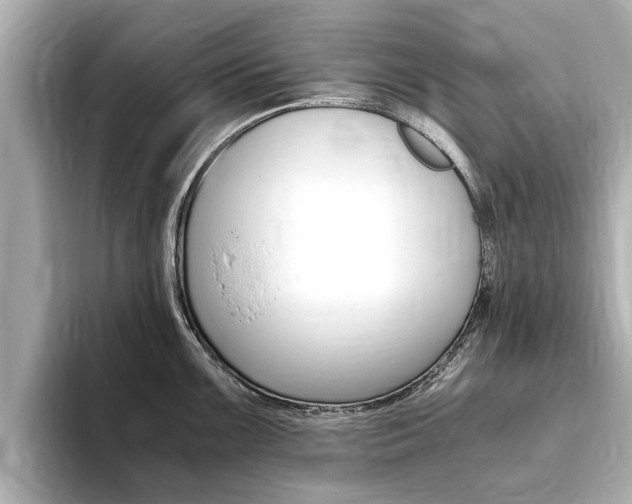 X0000093751099200710160805