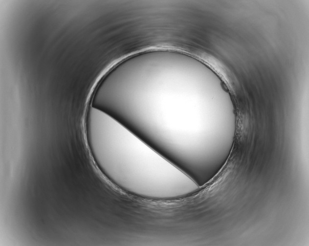 X0000093751100200710160805