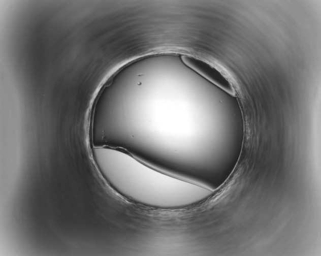 X0000093751102200710160805