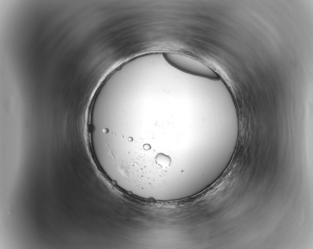 X0000093751103200710160805